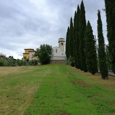 Open Space Nel Parco Con Parcheggio Gratuito Florenţa Exterior foto